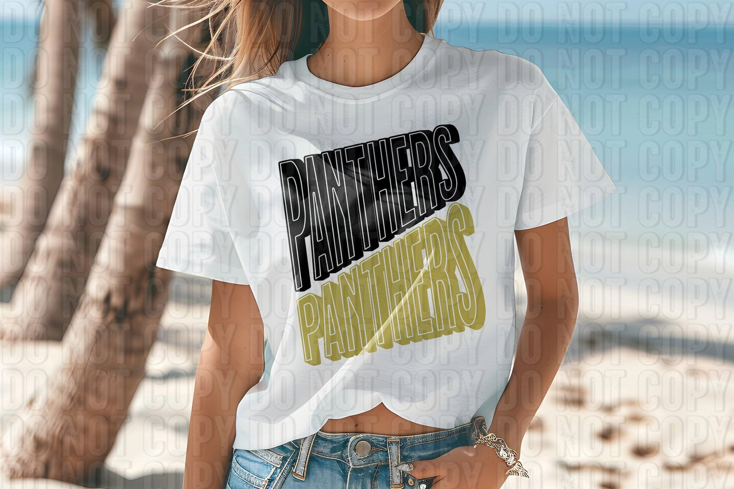 Panthers Black Vegas Gold DTF Transfer