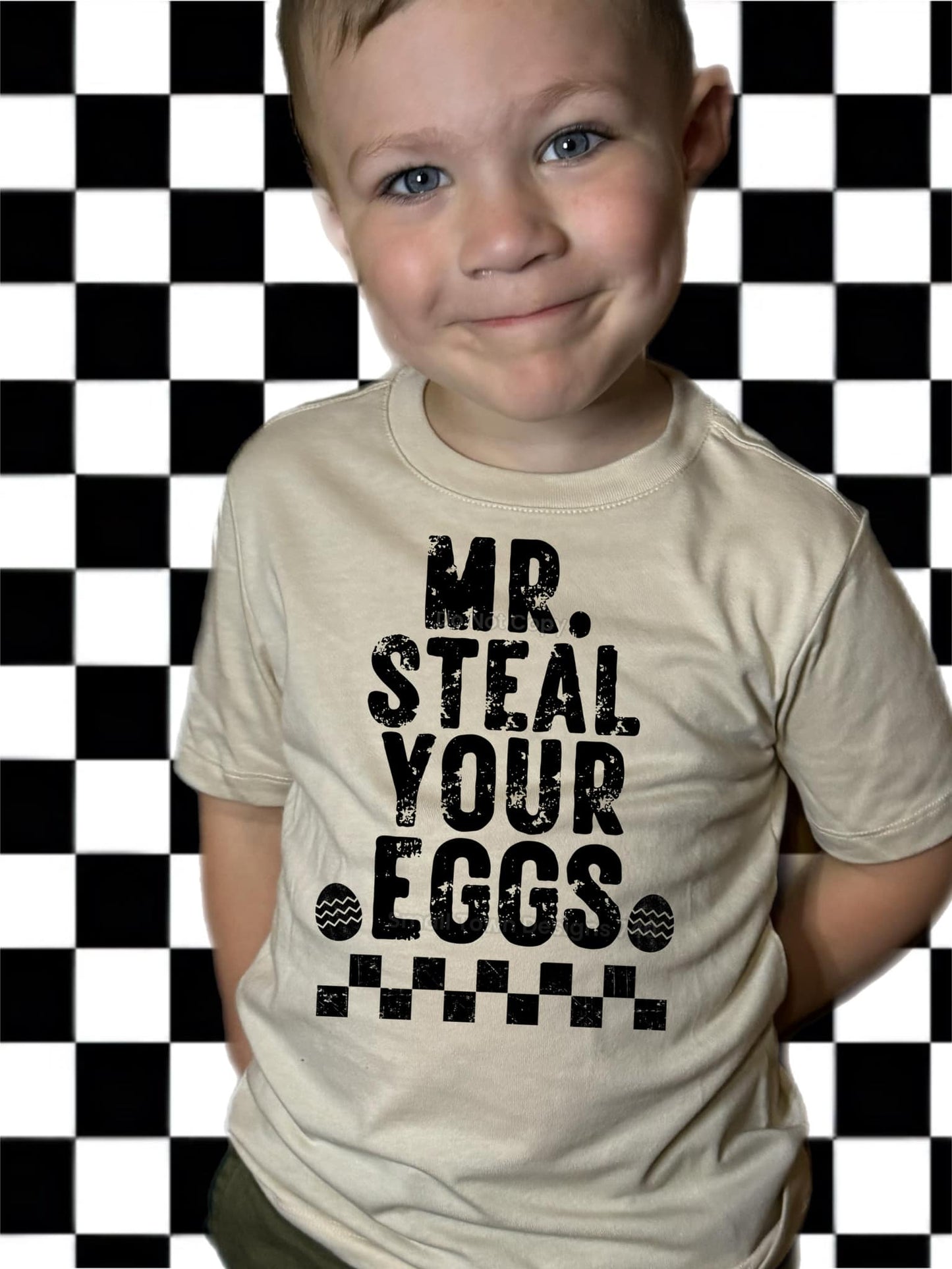 Mr. Steal Your Eggs DTF Transfer