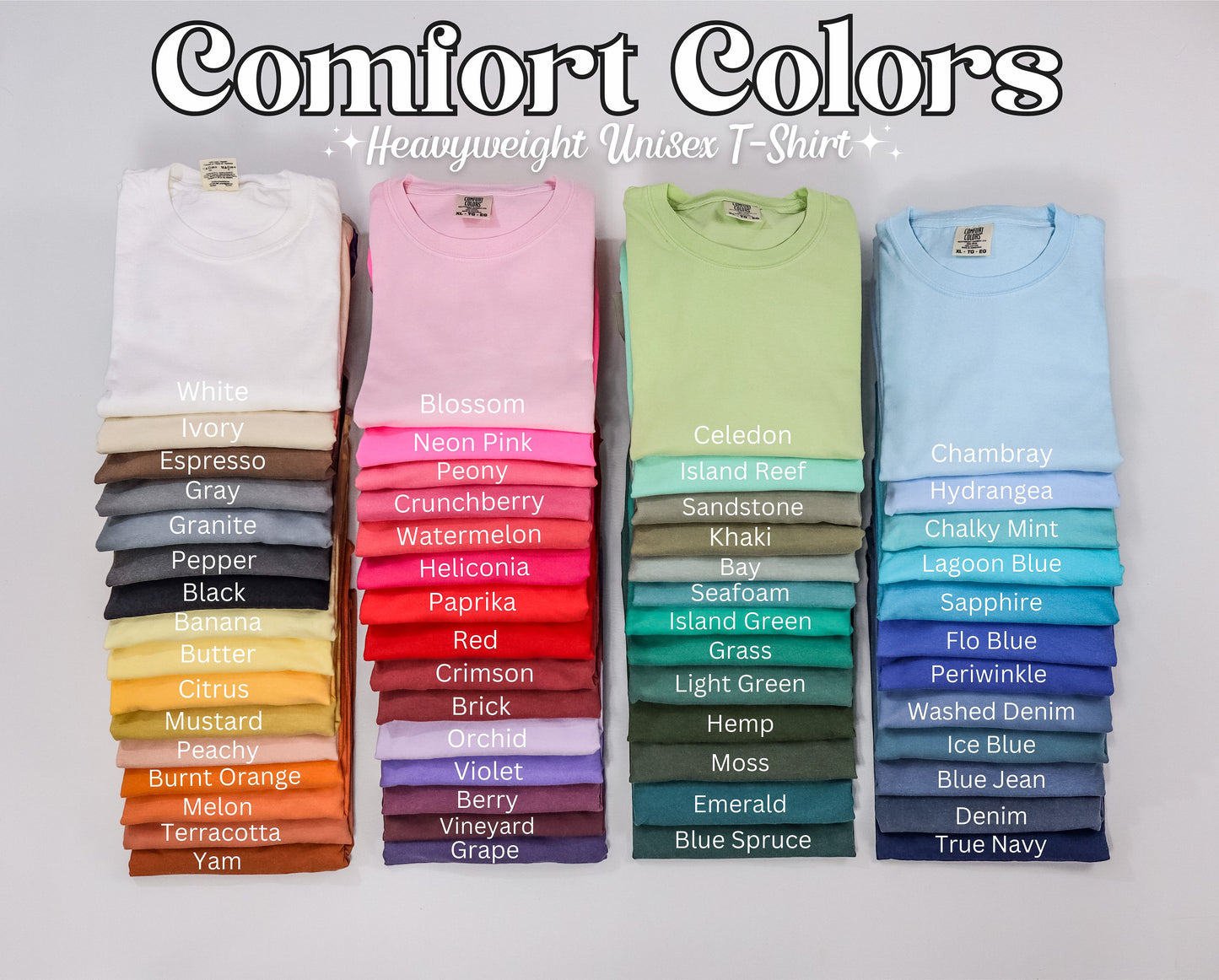 Guess What Chicken Butt Front & Back Comfort Color Tee (MYSTERY COLOR TEE)