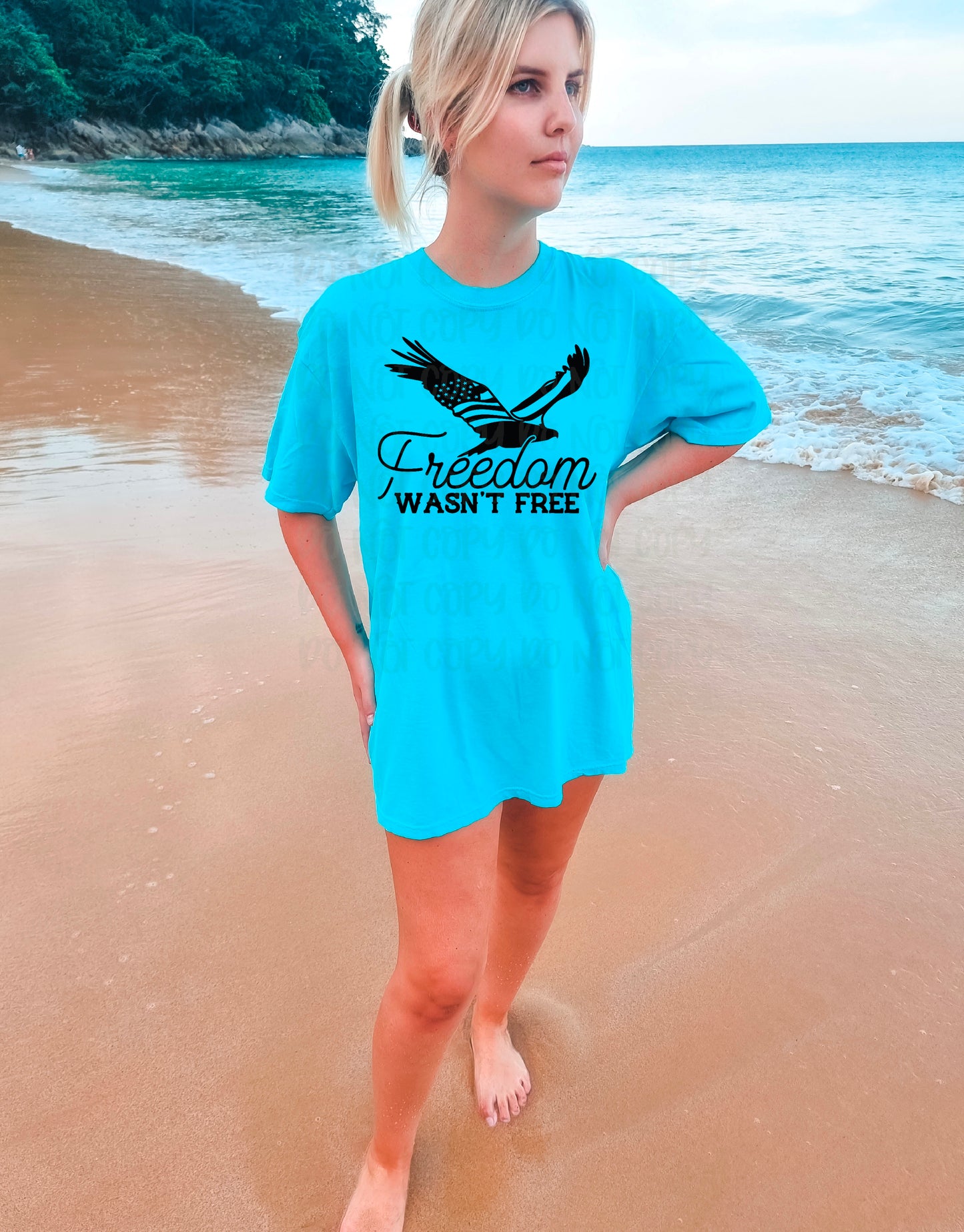 Freedom Wasnt Free DTF Transfer