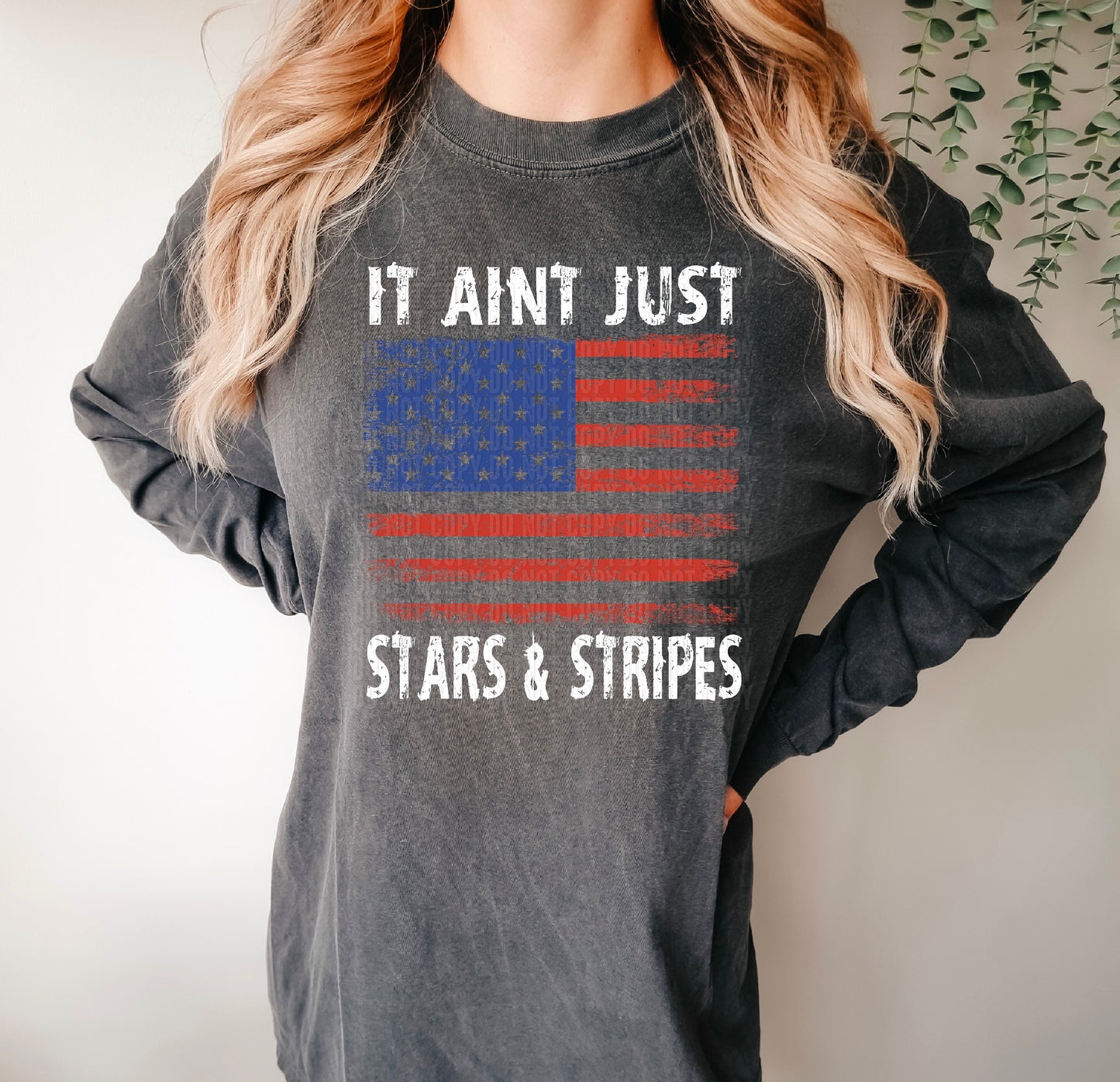 It Ain't Just Stars & Stripes DTF Transfer
