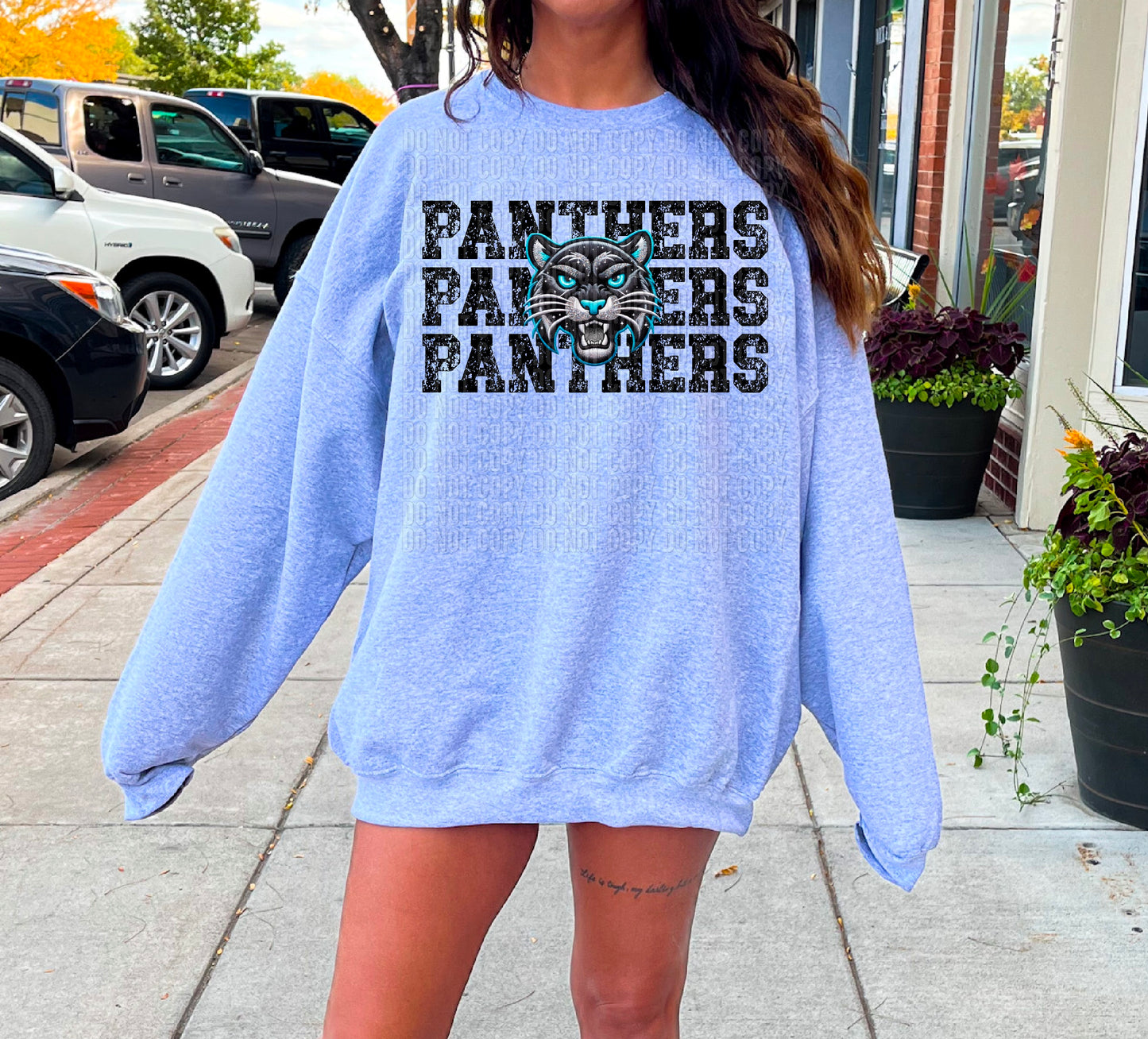 Panthers Stacked DTF Transfer