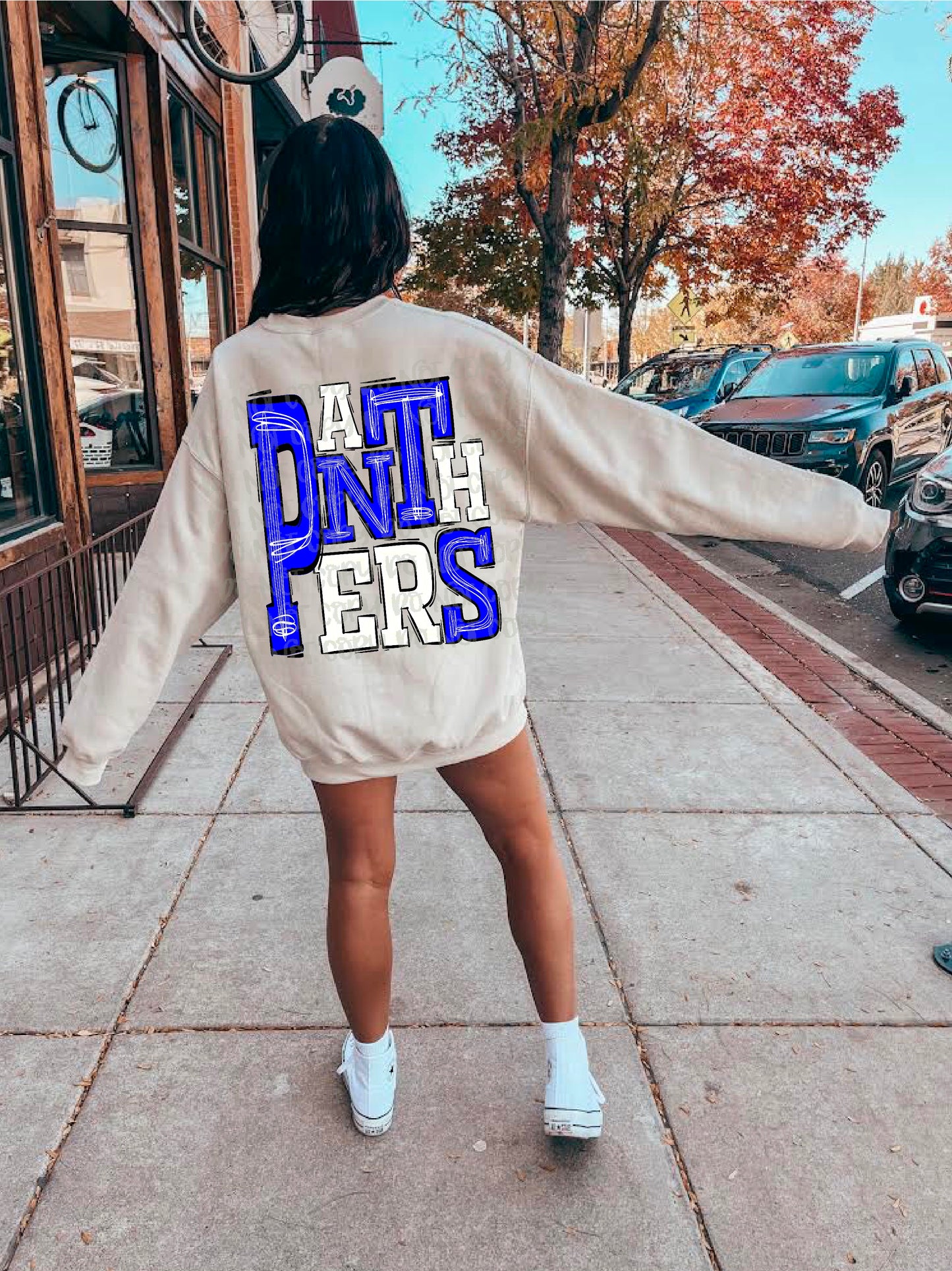 Panthers Royal Blue/White DTF Transfer