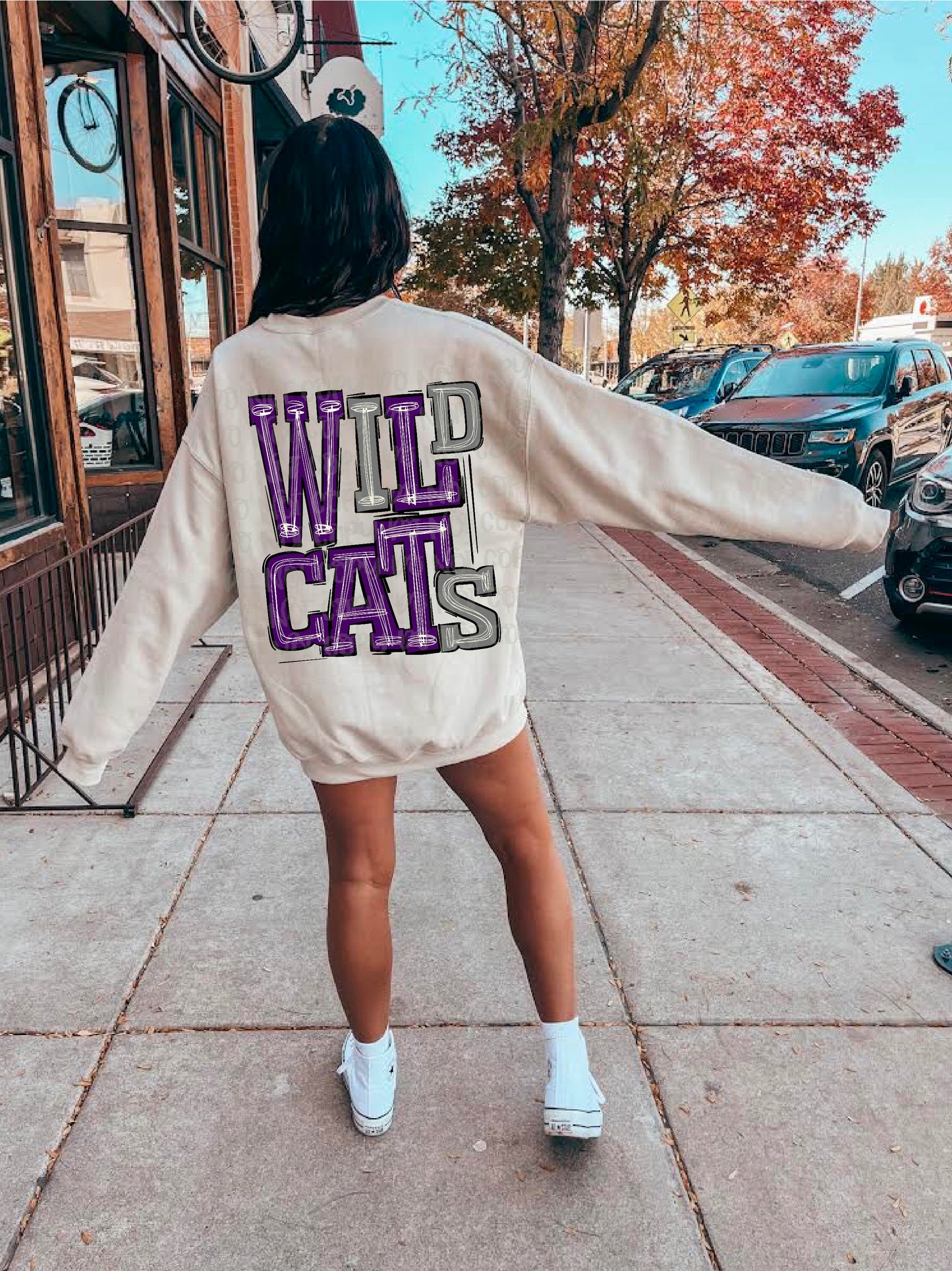 Wildcats Purple/Grey DTF Transfer
