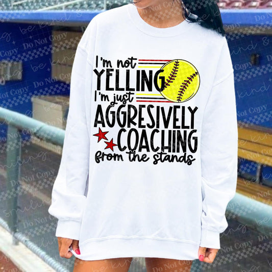 Aggressively Coaching Softball DTF Transfer