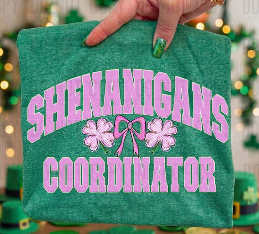 Shenanigans Coordinator DTF Transfer