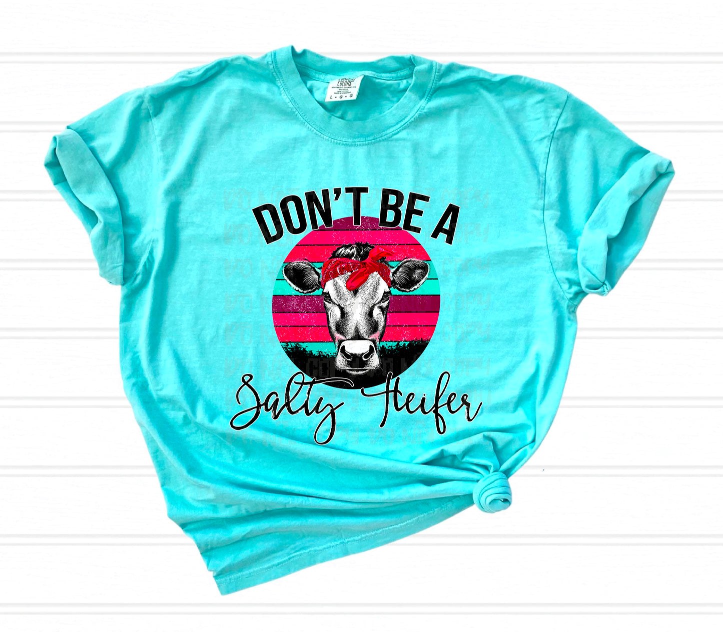 Don’t Be a Salty Heifer DTF Transfer