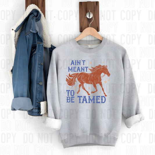 Ain't Meant To Be Tamed Grunge DTF Transfer