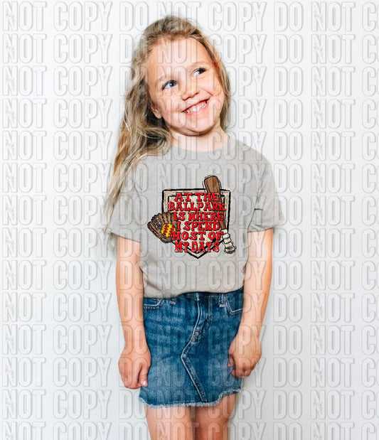 At The Ballpark Softball DTF Transfer