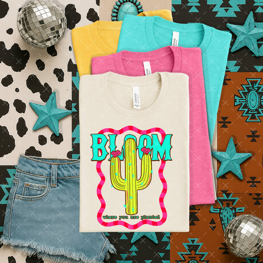 Bloom Where You Are Planted Cactus Frame DTF Transfer