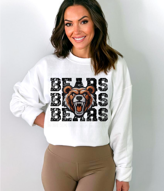 Bears Stacked DTF Transfer