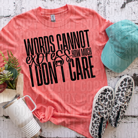 Words Cannot Express How Much I Don't Care DTF Transfer