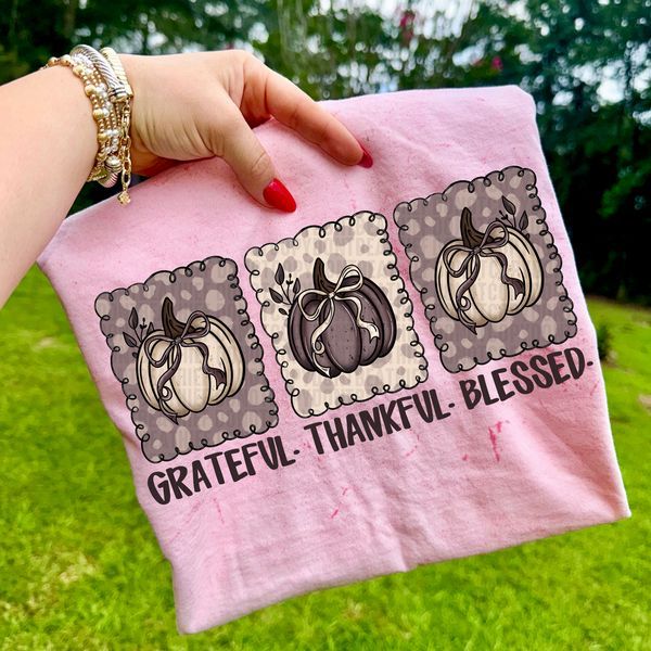 Grateful Thankful Blessed Pumpkins DTF Transfer
