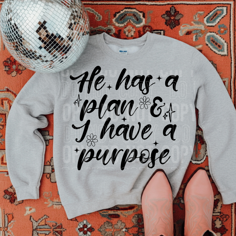He Has A Plan & I Have A Purpose Black Font DTF Transfer