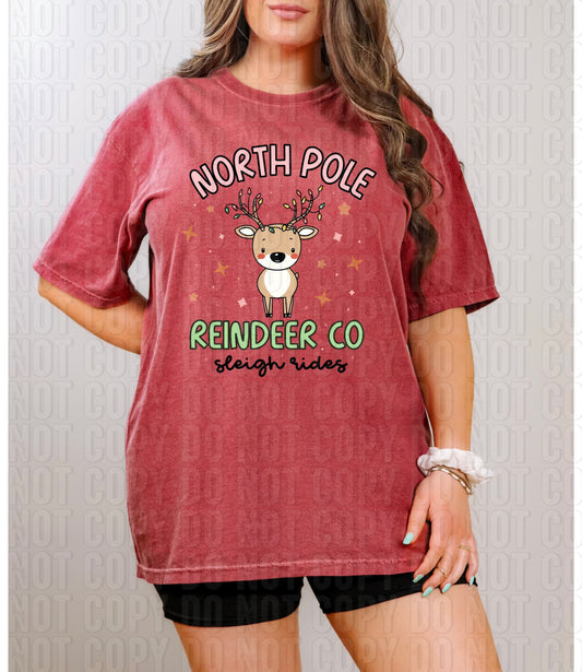 North Pole Reindeer DTF Transfer