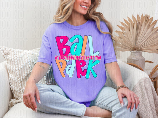 I'll Be At The Ball Park DTF Transfer