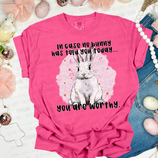 In Case No Bunny Has Told You DTF Transfer