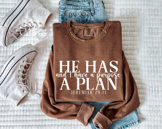He Has A Plan And I Have A Purpose White Font DTF Transfer