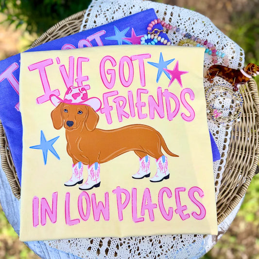 I've Got Friends In Low Places Dachshund DTF Transfer