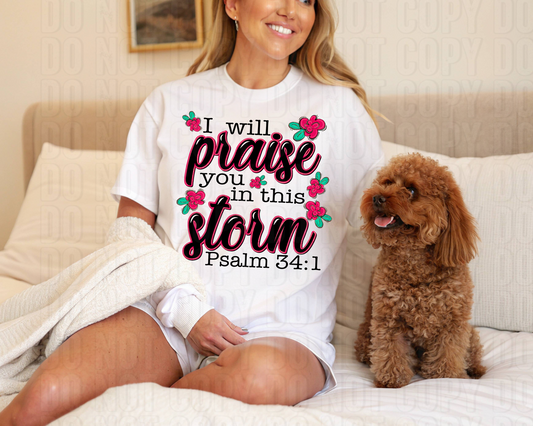 I Will Praise You In This Storm DTF Transfer