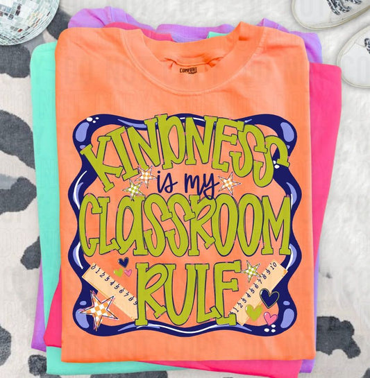 Kindness Is My Classroom Rule DTF Transfer
