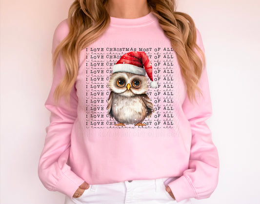 Owl Love Christmas Most Of All DTF Transfer