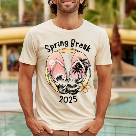 Spring Break 2025 Black DTF Transfer