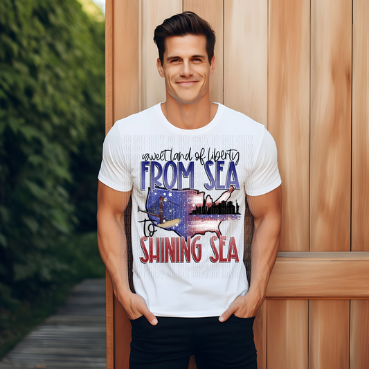 Sweet Land Of Liberty DTF Transfer