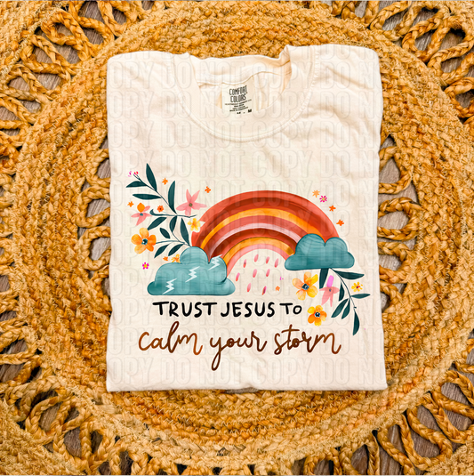 Trust Jesus To Calm Your Storm DTF Transfer