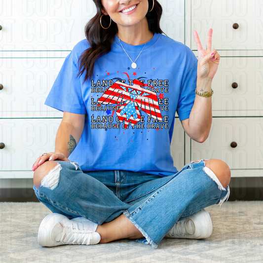 Land Of The Free DTF Transfer