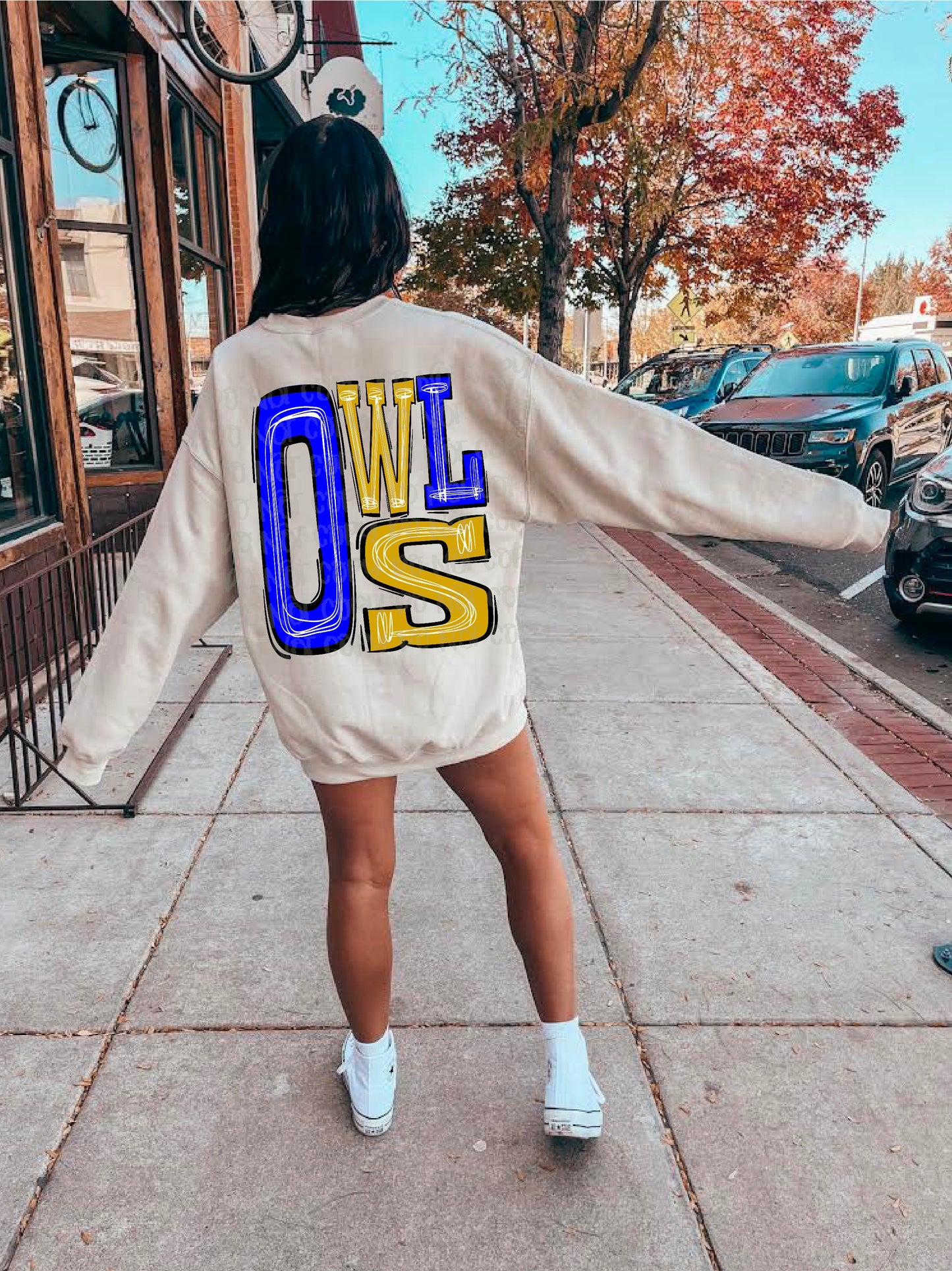 Owls Royal Blue/Gold DTF Transfer