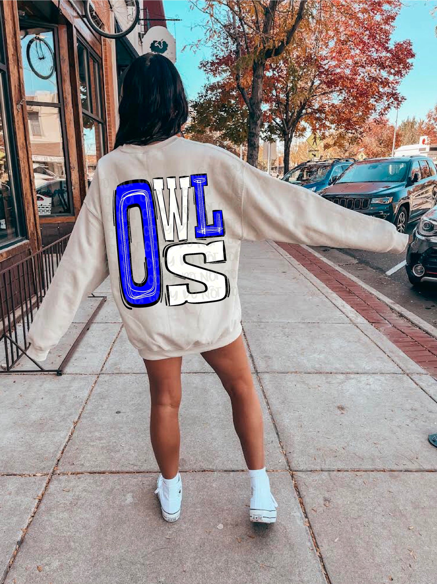 Owls Royal Blue/White DTF Transfer