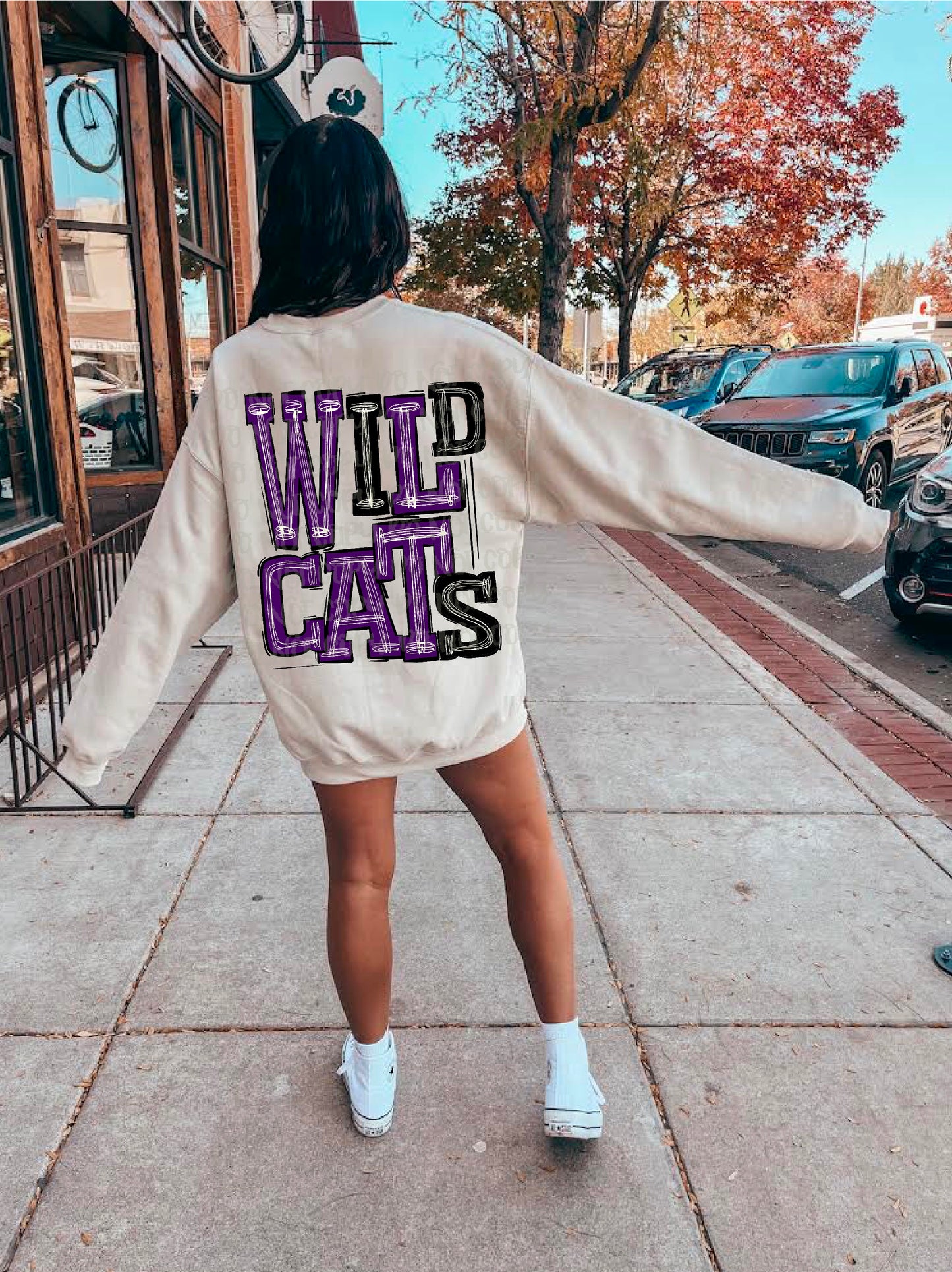 Wildcats Purple/Black DTF Transfer